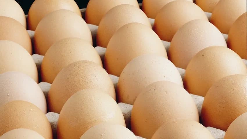 Egg prices are rising