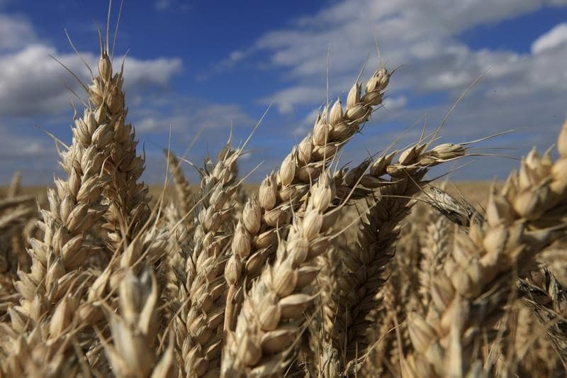 Grain Corridor Agreement extended