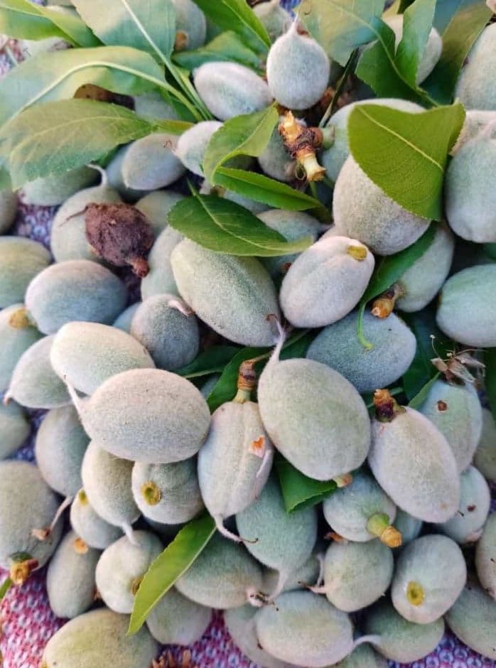 Fresh Green Almond