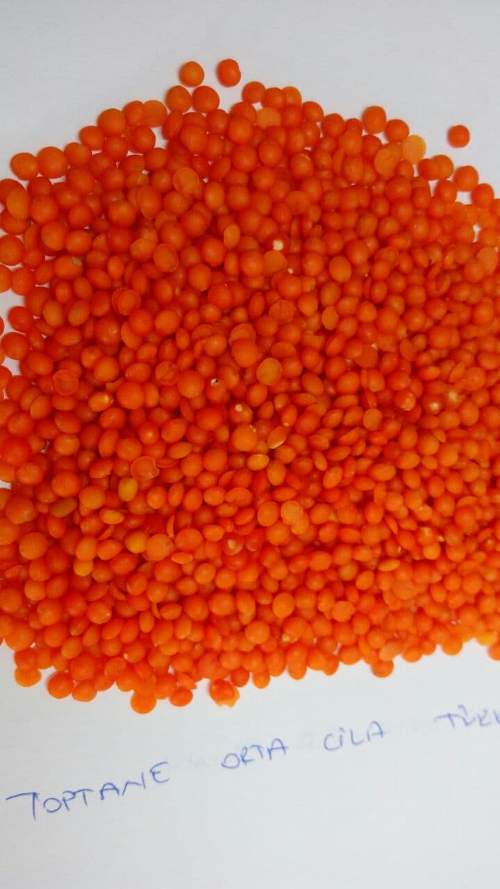 Red Lentil whole