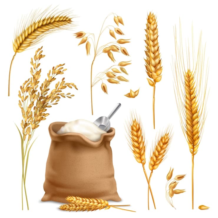 Grain Corridor agreement was terminated