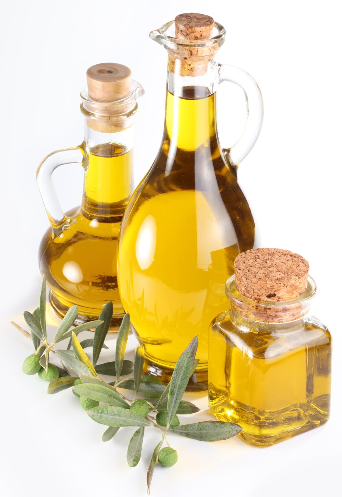 Olive export special export tax
