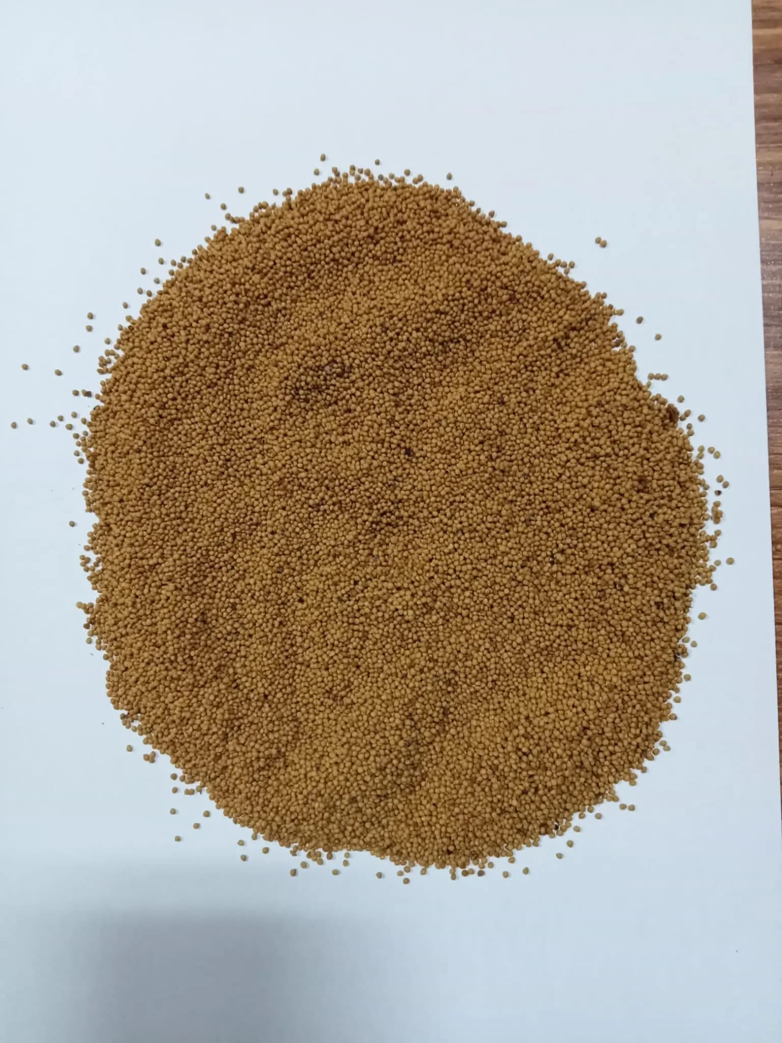 Fig Seed