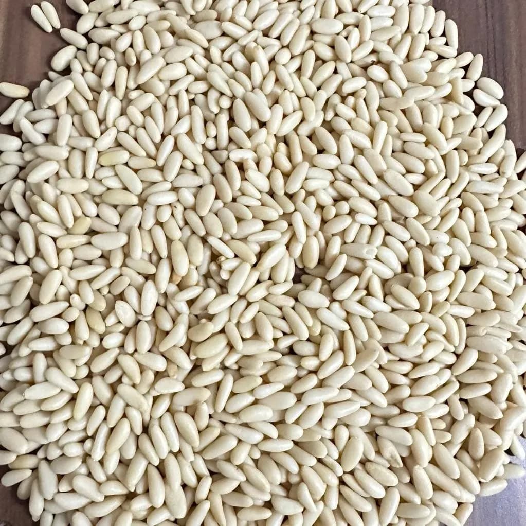 Pine Nut Kernels