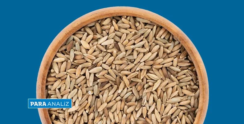 Russia will harvest 2 million tons of rye