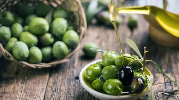 Turkish Olive oil and table olives 2023 crop expectations