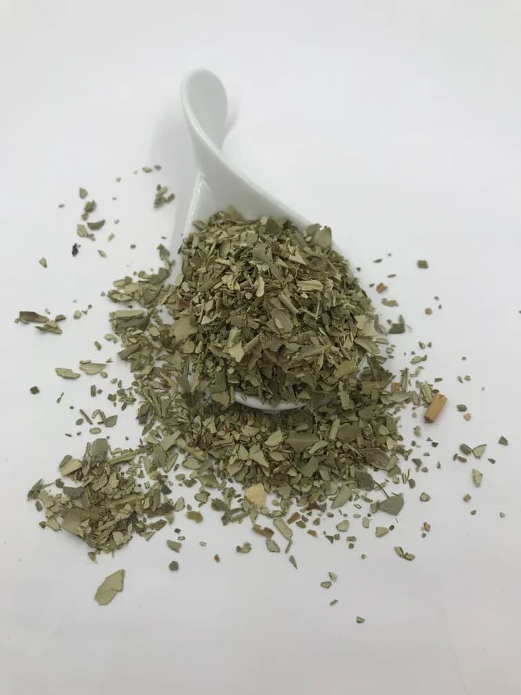 Olive Leaf
