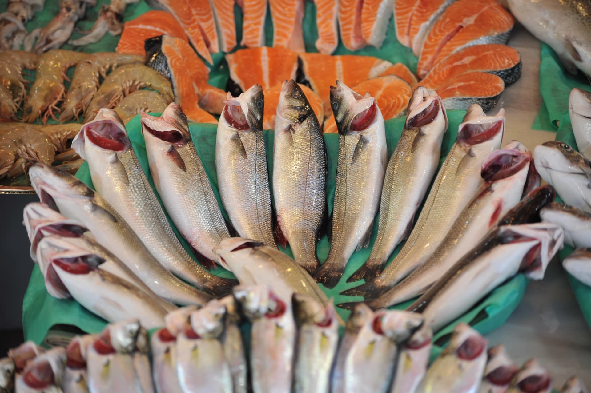 Turkiye aquaculture exports 2023 analysis