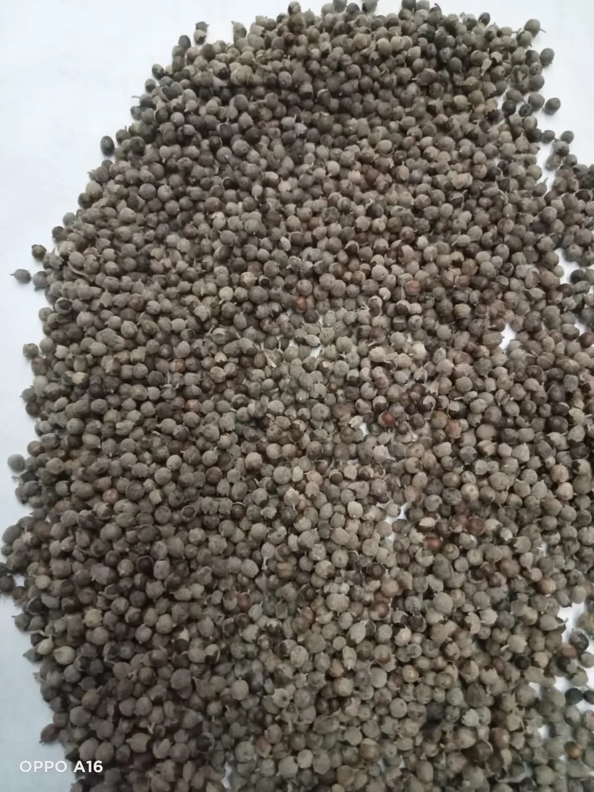 Vitex Agnus Castus Fruit-Chaste Tree Berry