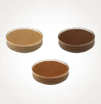 Organic Hazelnut Kernels Paste