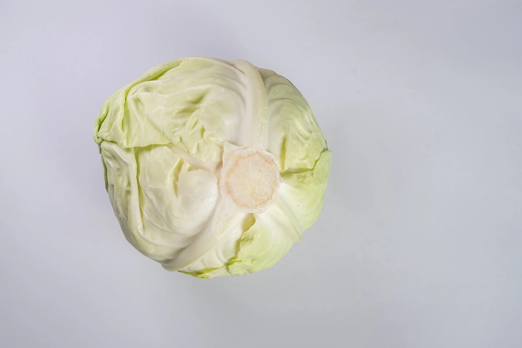 Iceberg Lettuce