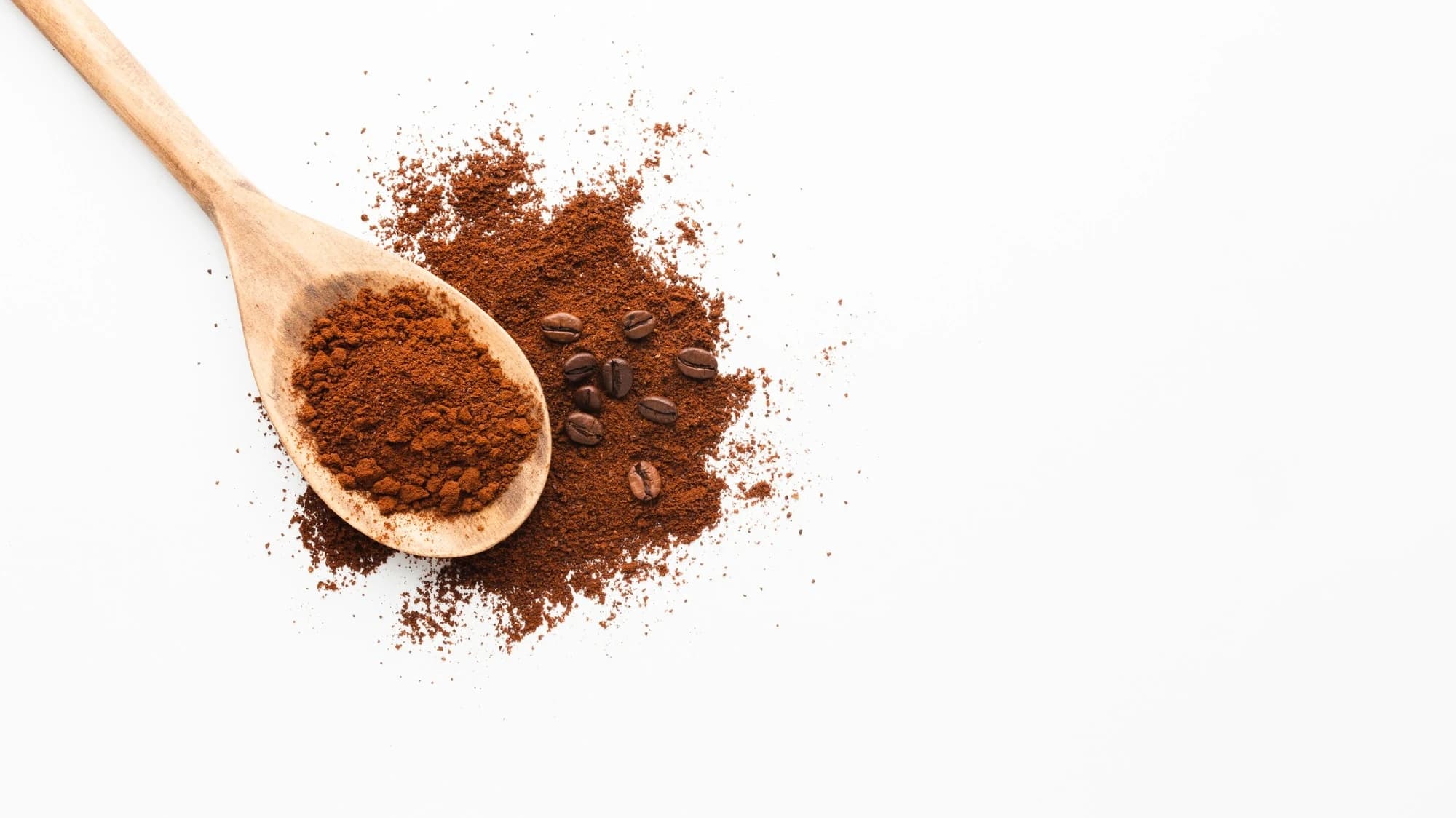 Cocoa Powder