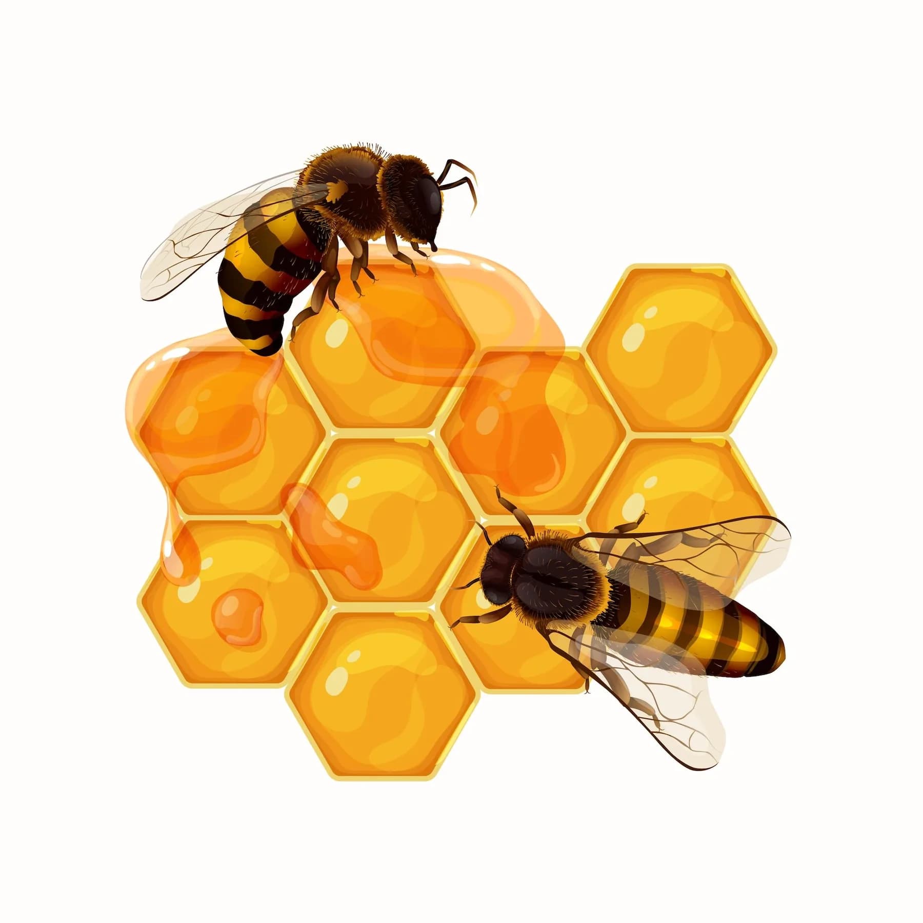 Honey