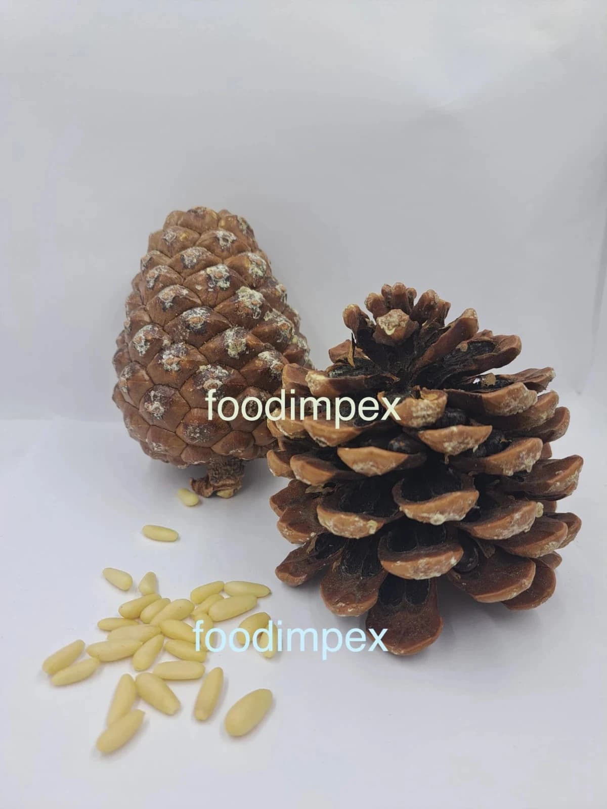 turkish pine nut kernels export february 2024