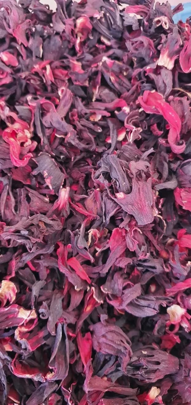 Hibiscus