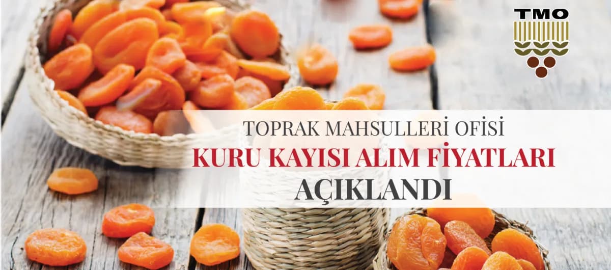 turkish dried apricot market news 29august