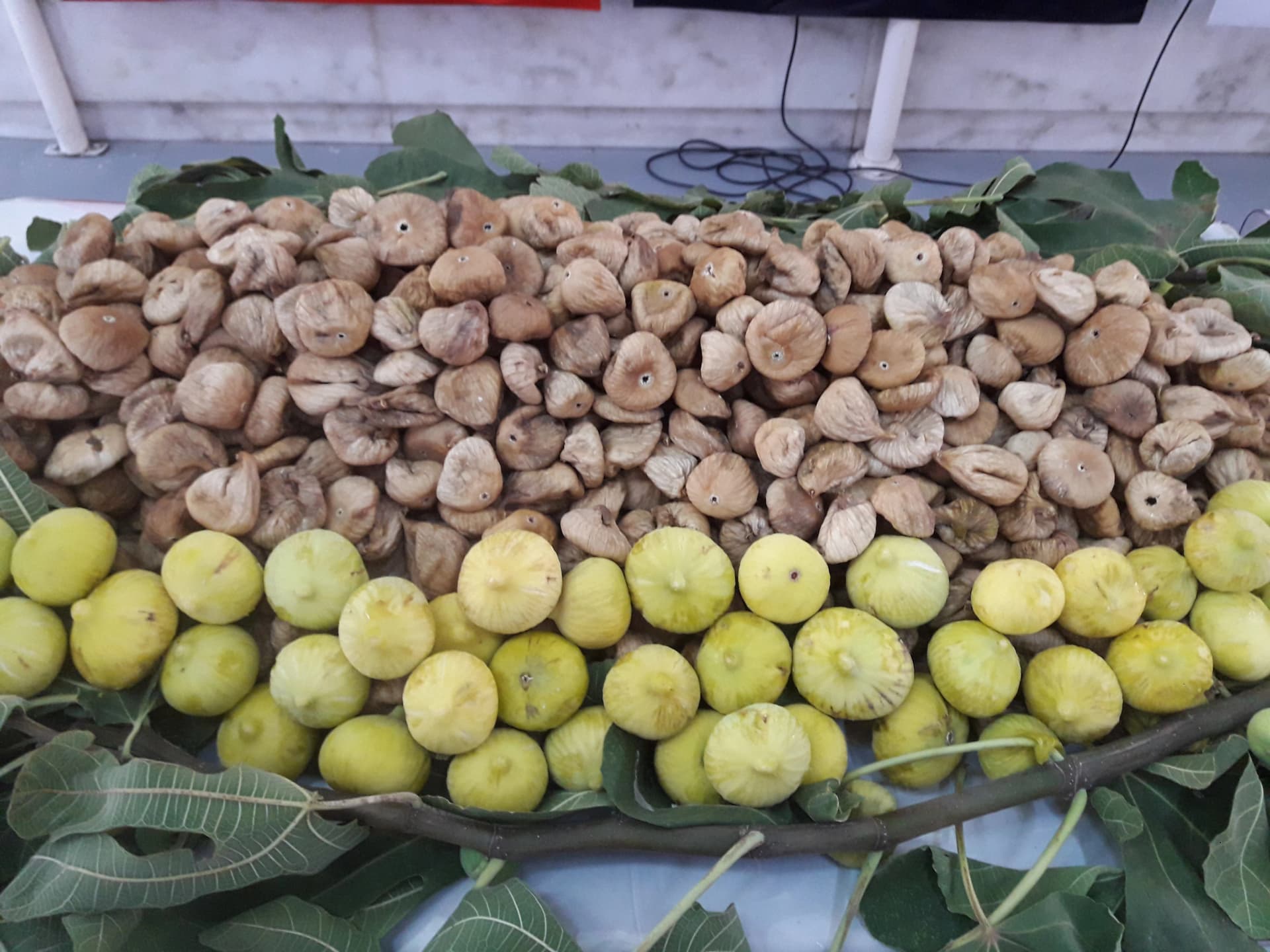 dried figs report from 2023 crop to 2024