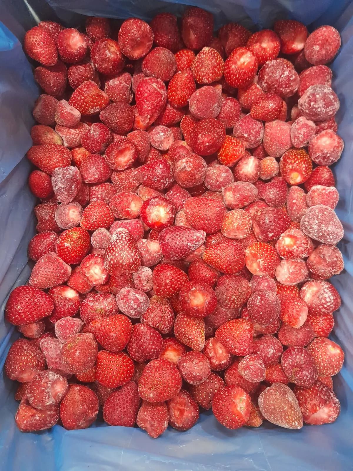Organic IQF Frozen Strawberry