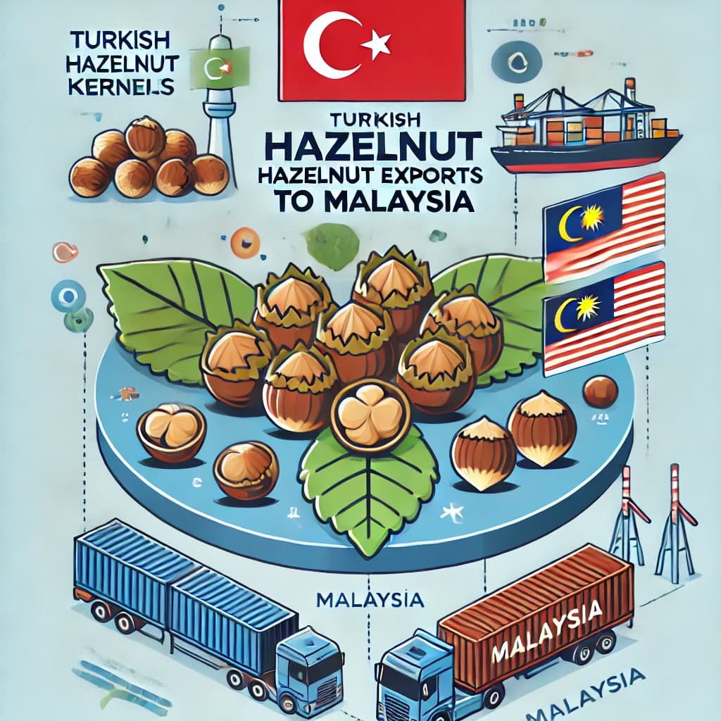 hazelnut kernels export to malaysia