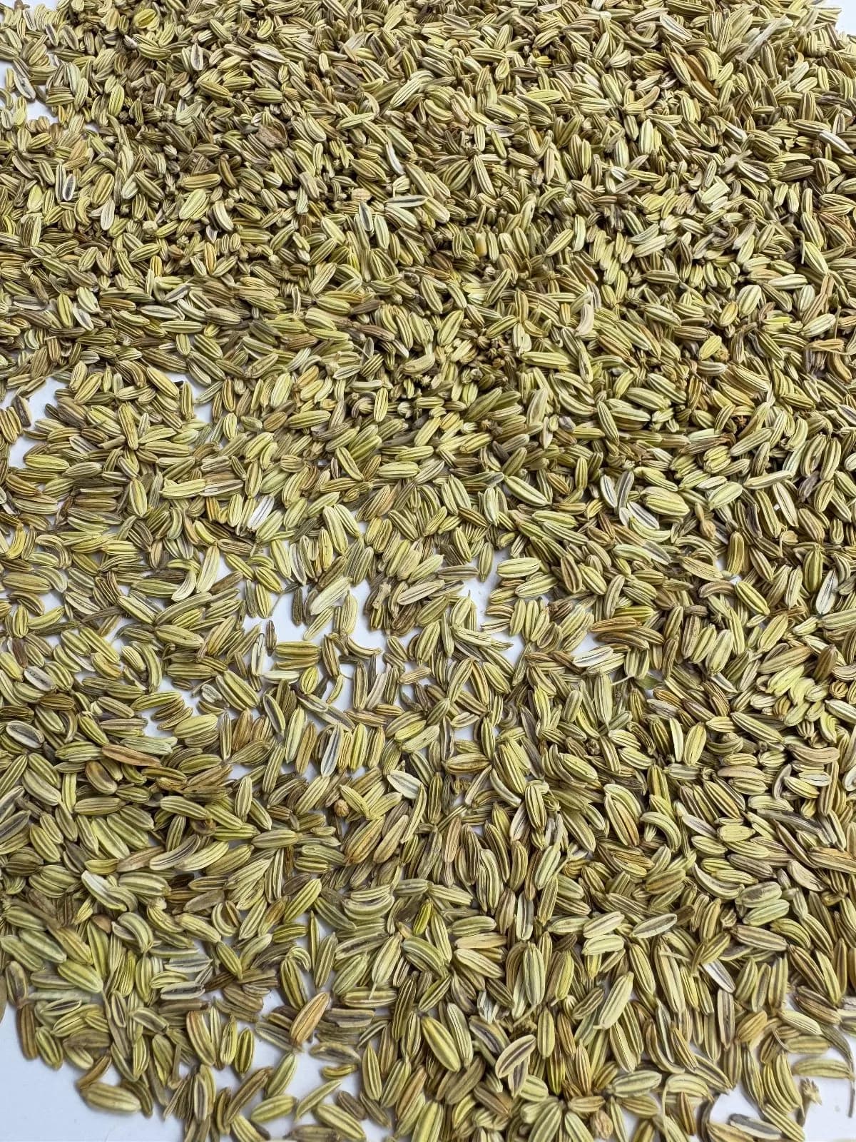 Fennel seed