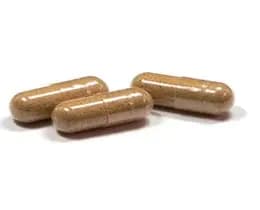 Cistus incanus capsule