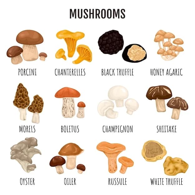 Mushrooms