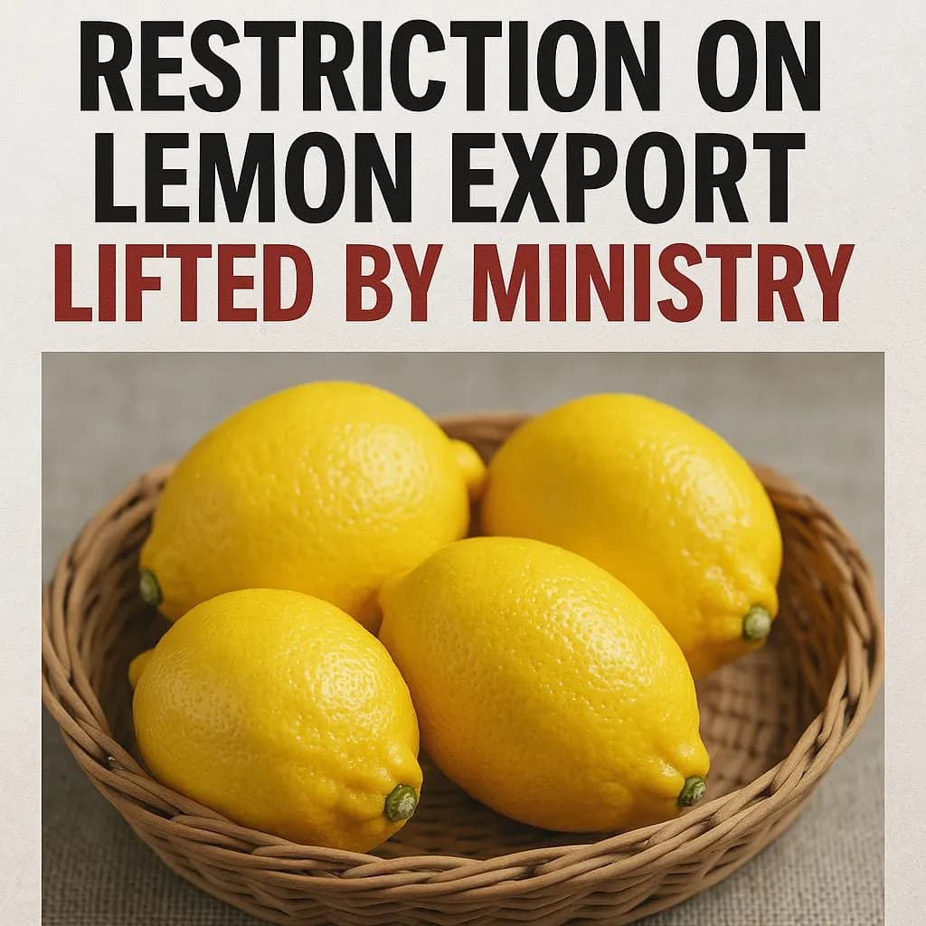 decision to stop lemon exports was postponed