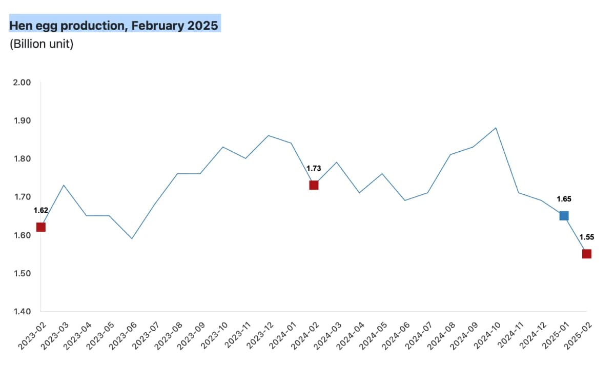 hen egg production february 2025