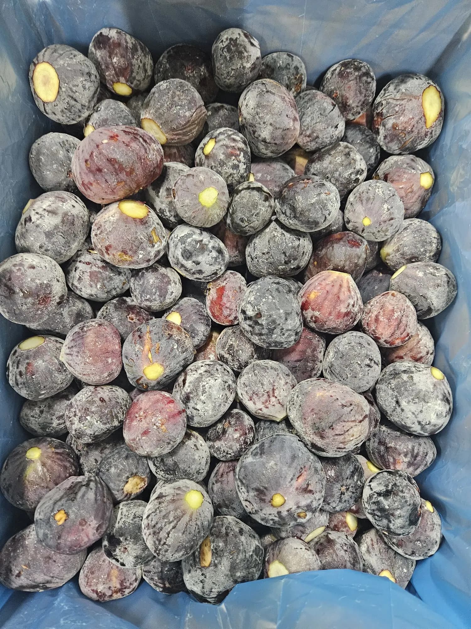 IQF Frozen Black Figs