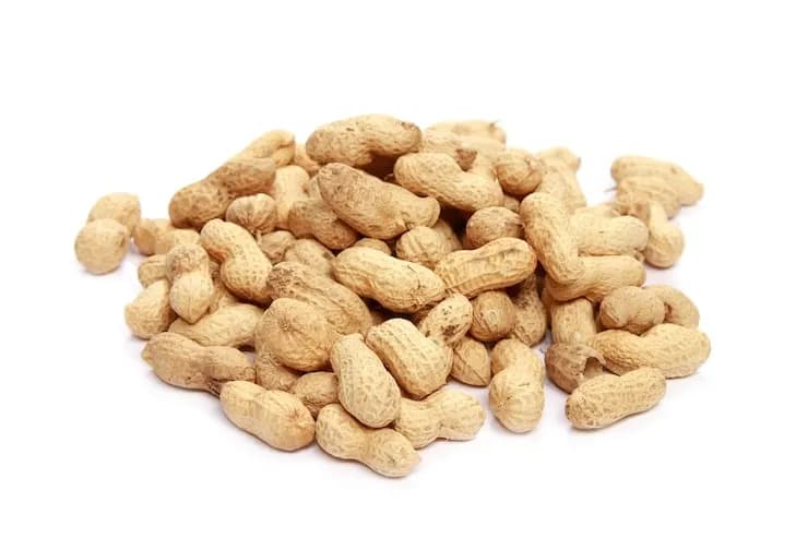 Peanut inshell