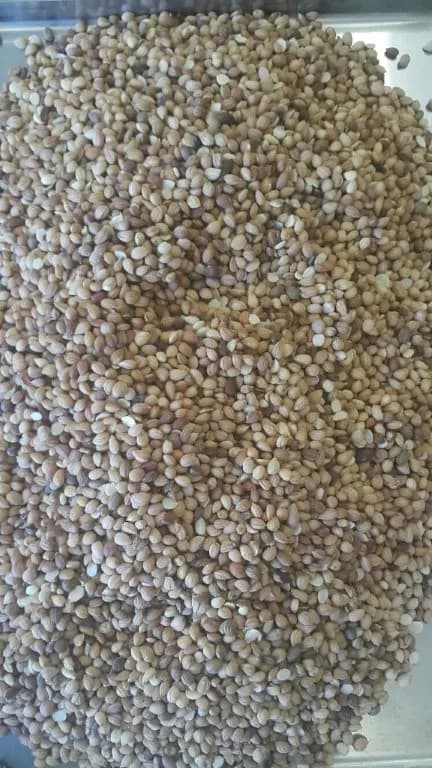Mahlap kernel