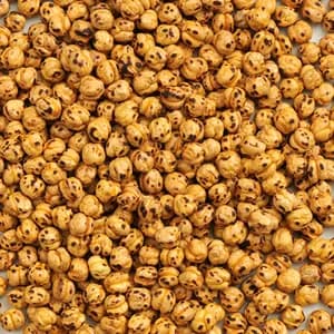 Discover the Crunchy Delight of Double Roasted Chickpeas Yellow