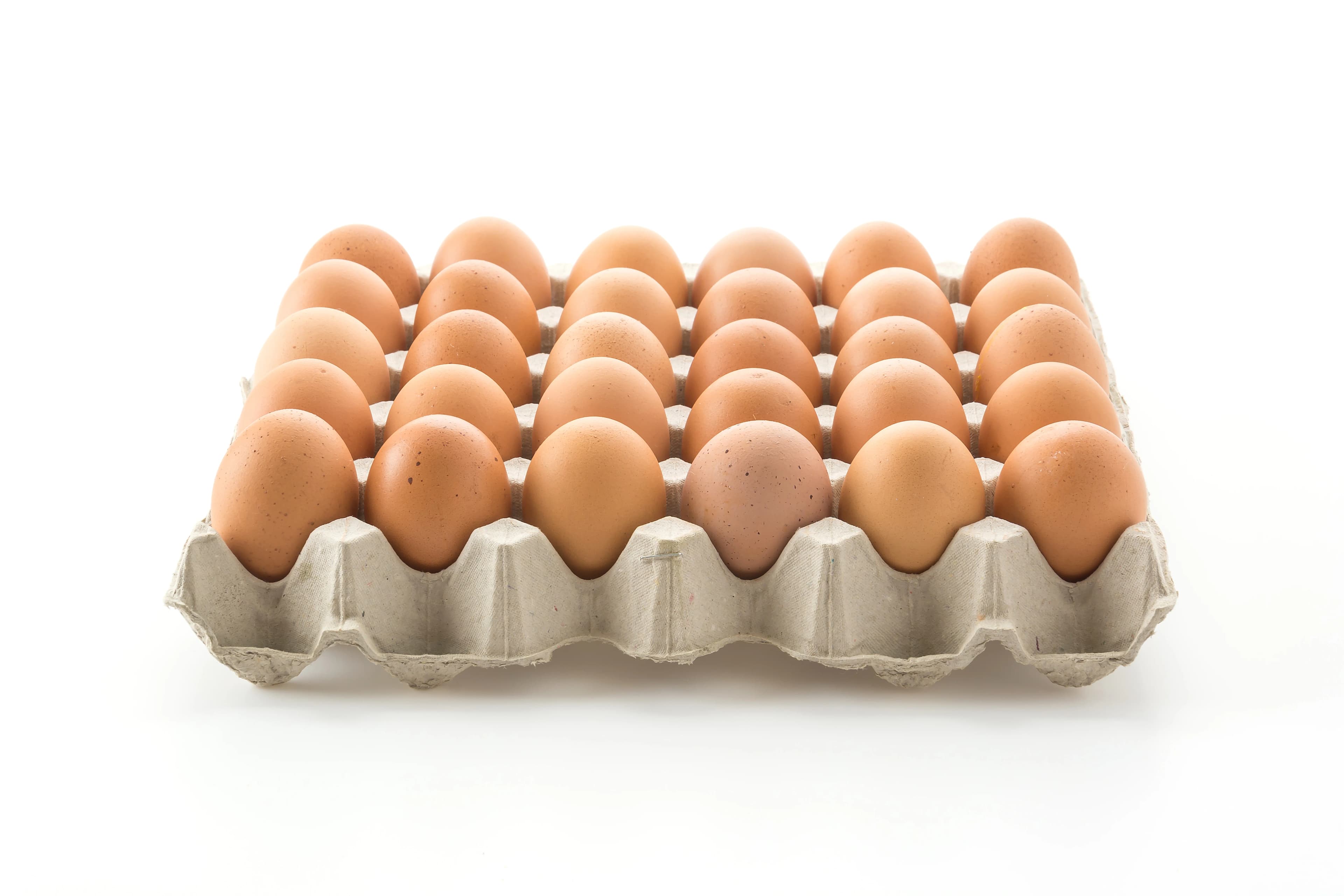 Egg tray viol