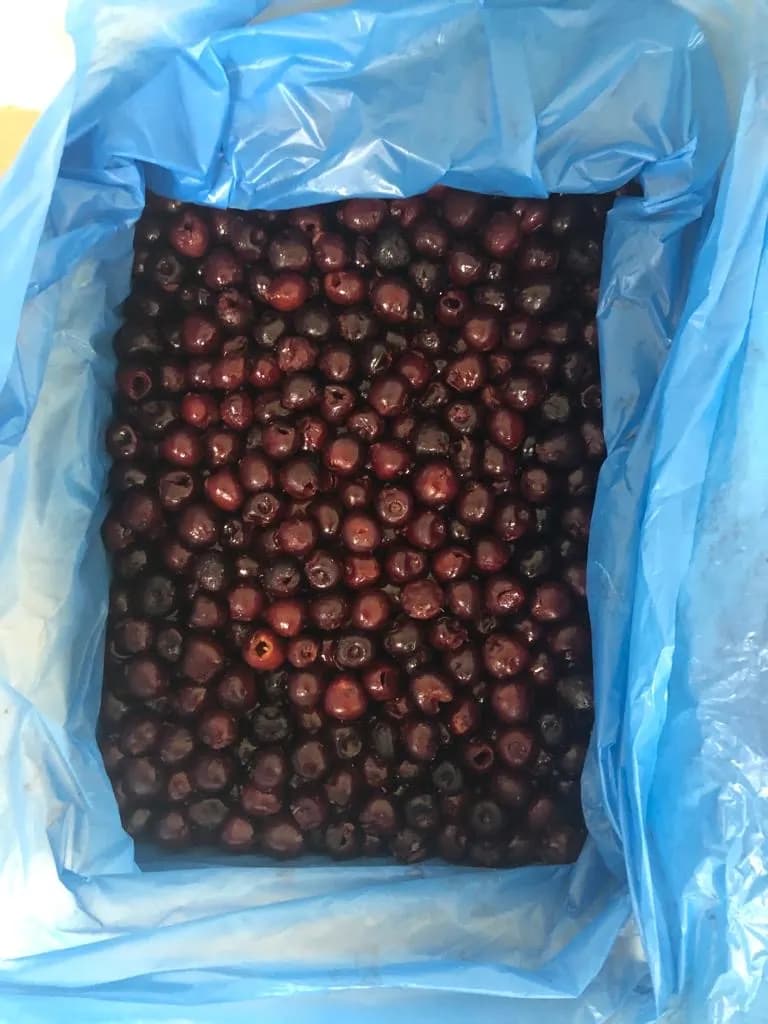 IQF Frozen Sour Cherry pitted