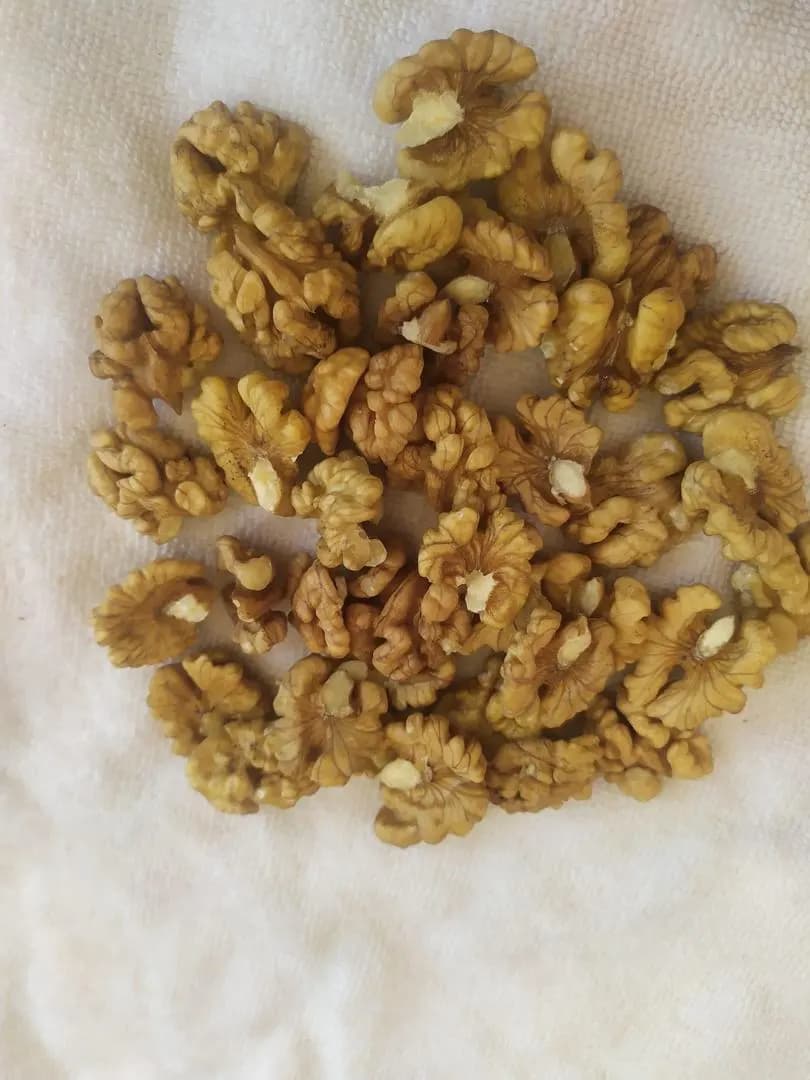 Walnut Kernel Uzbekistan