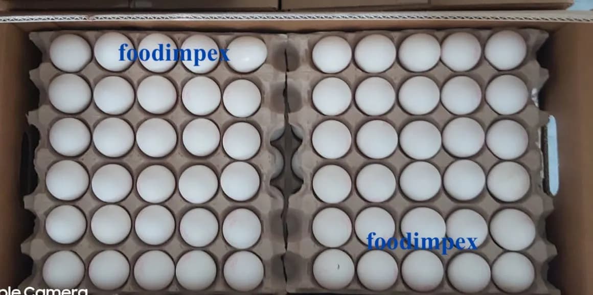 poultry and egg exports to qatar