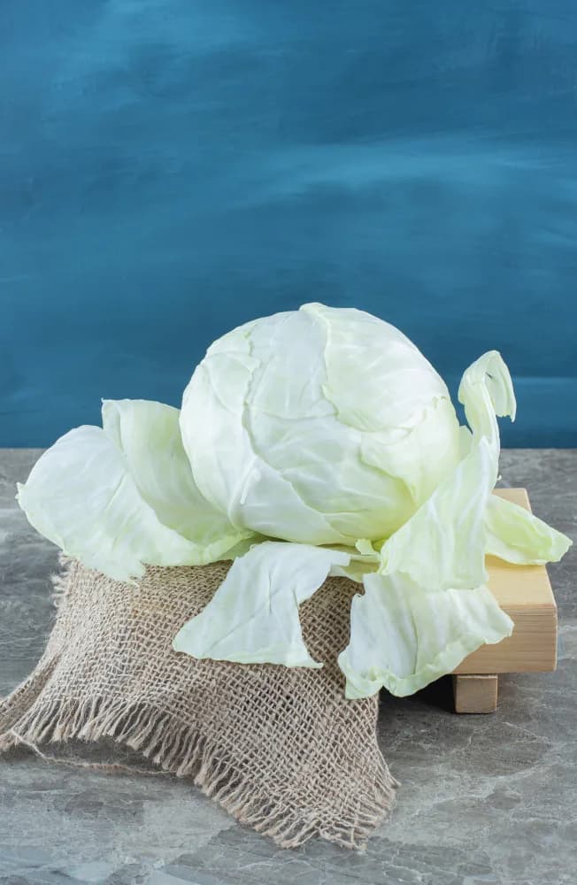 Fresh Cabbage