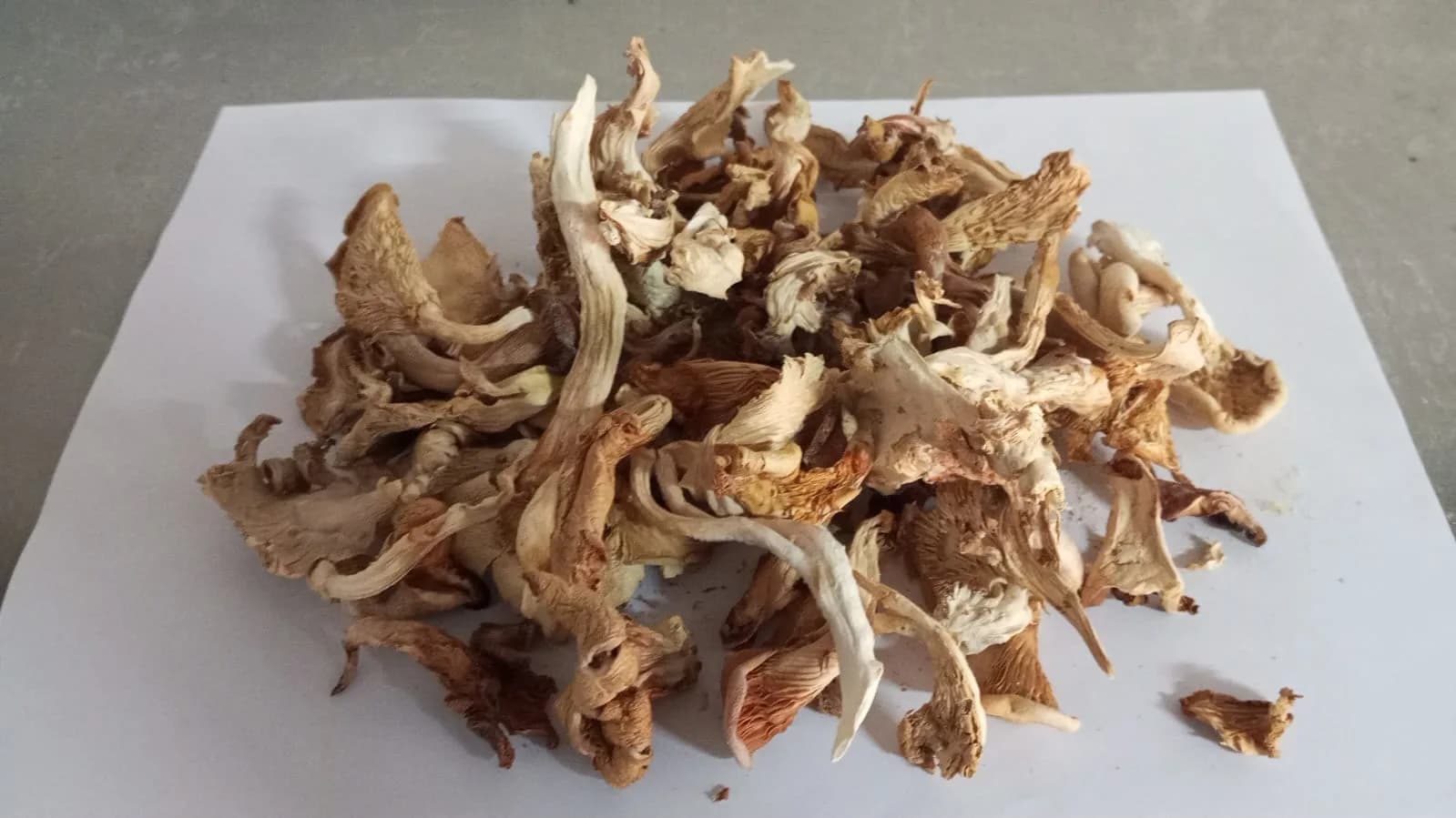 dried Oyster mushroom