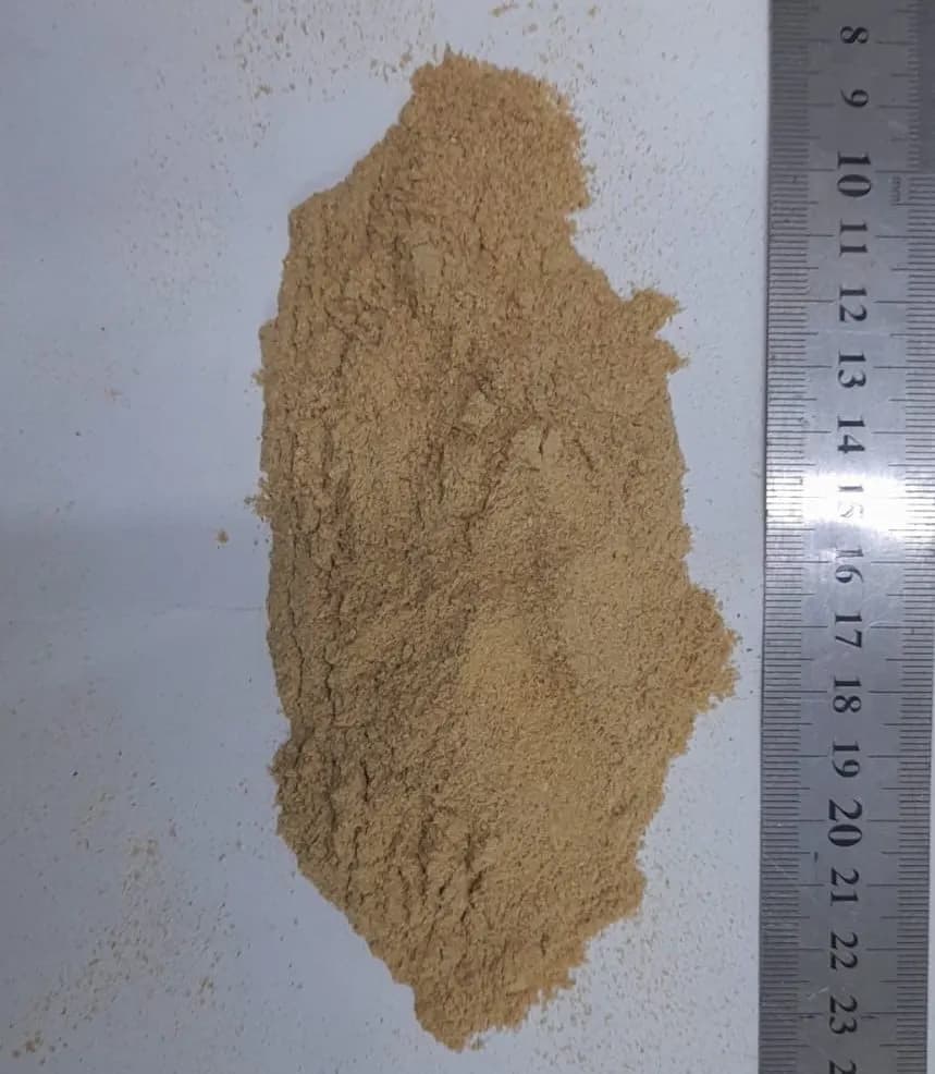 dried Oyster mushroom powder