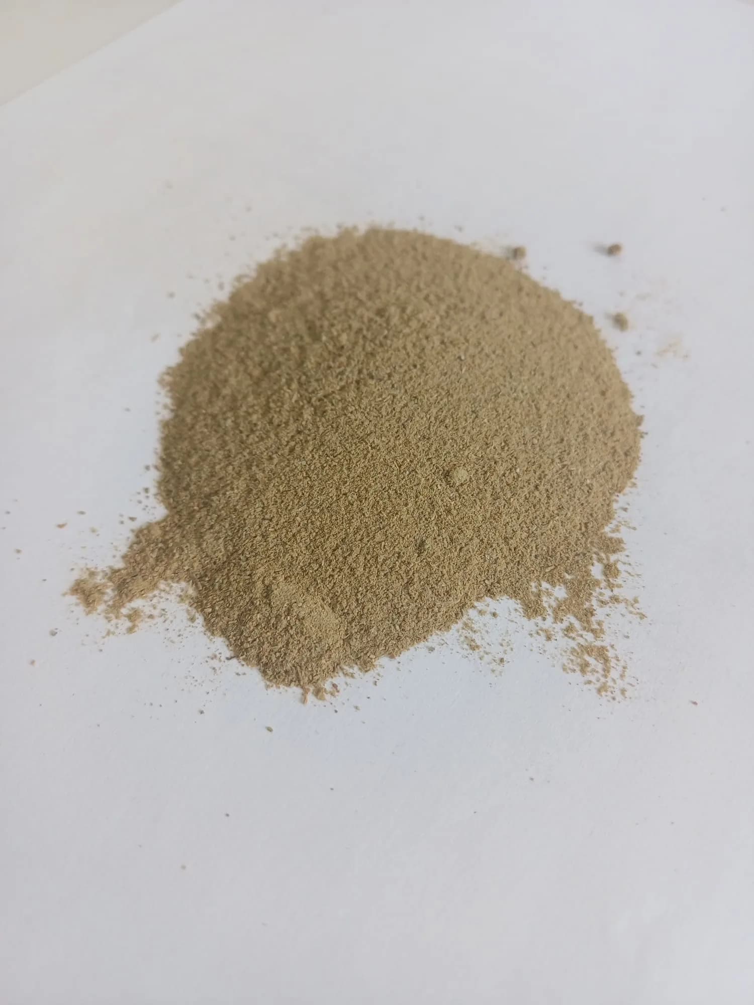 dried Olive Leaf powder