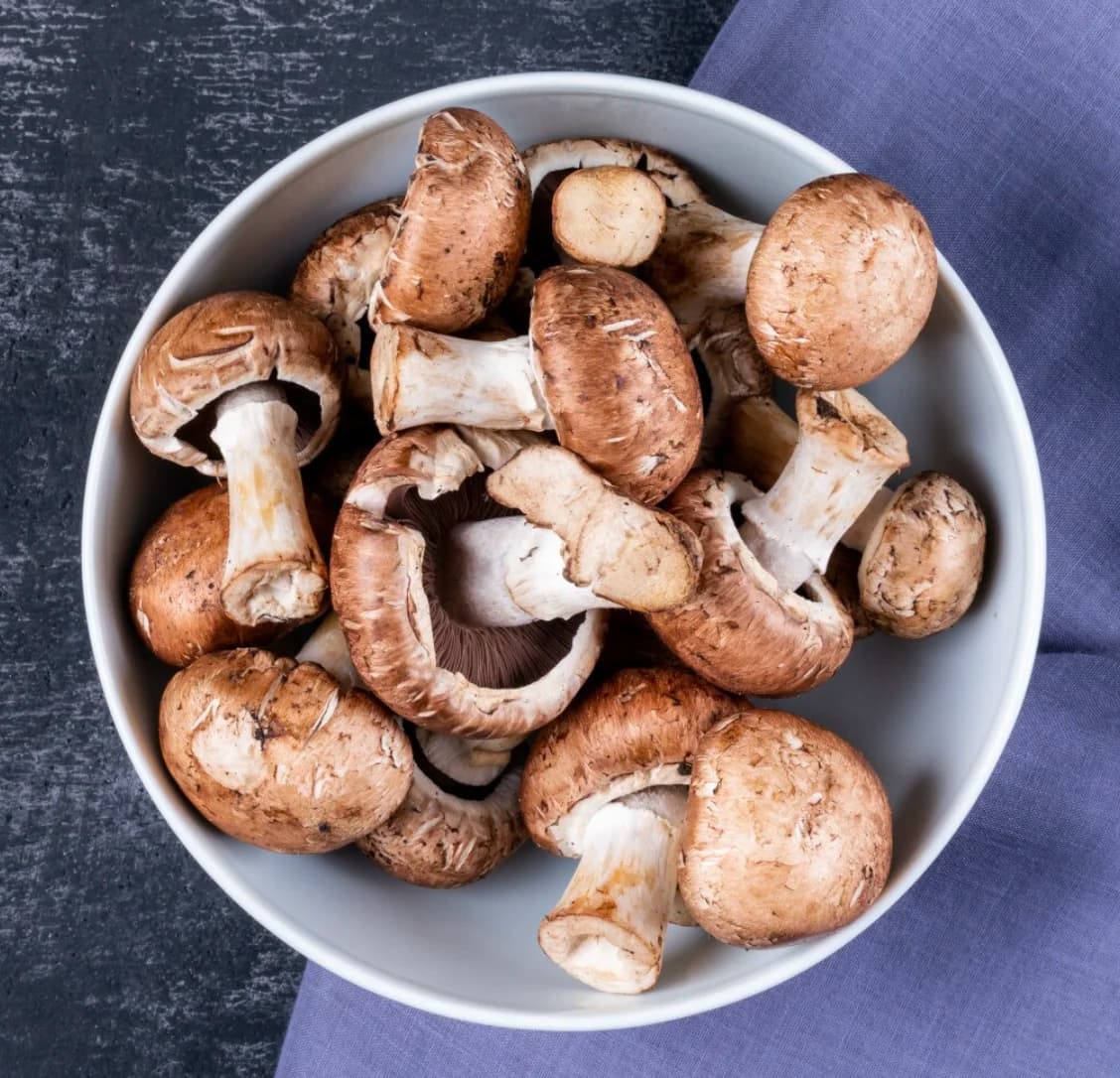 Porcini Mushroom