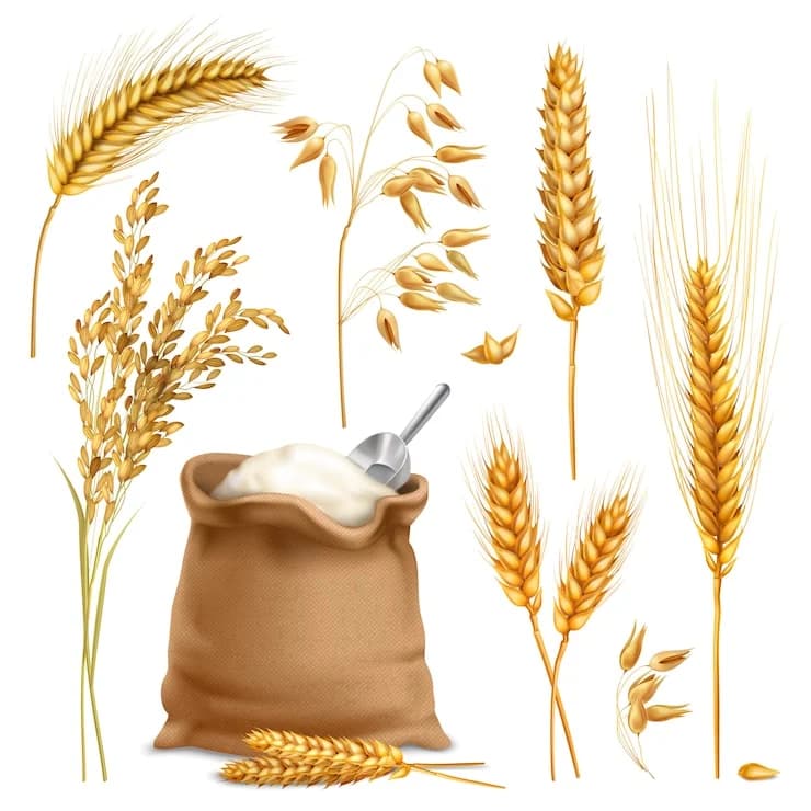 wheat prices are increasing