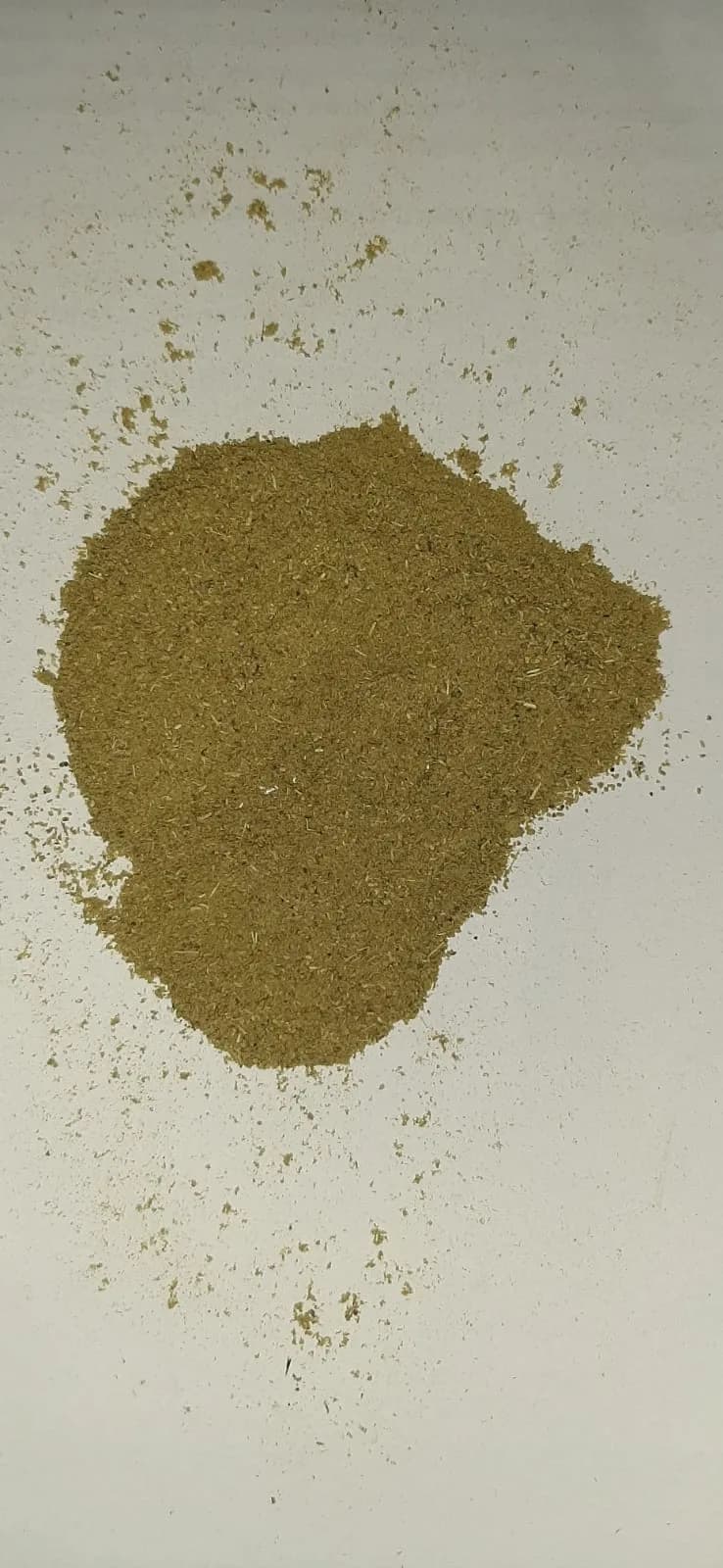 Organic Cistus incanus powder