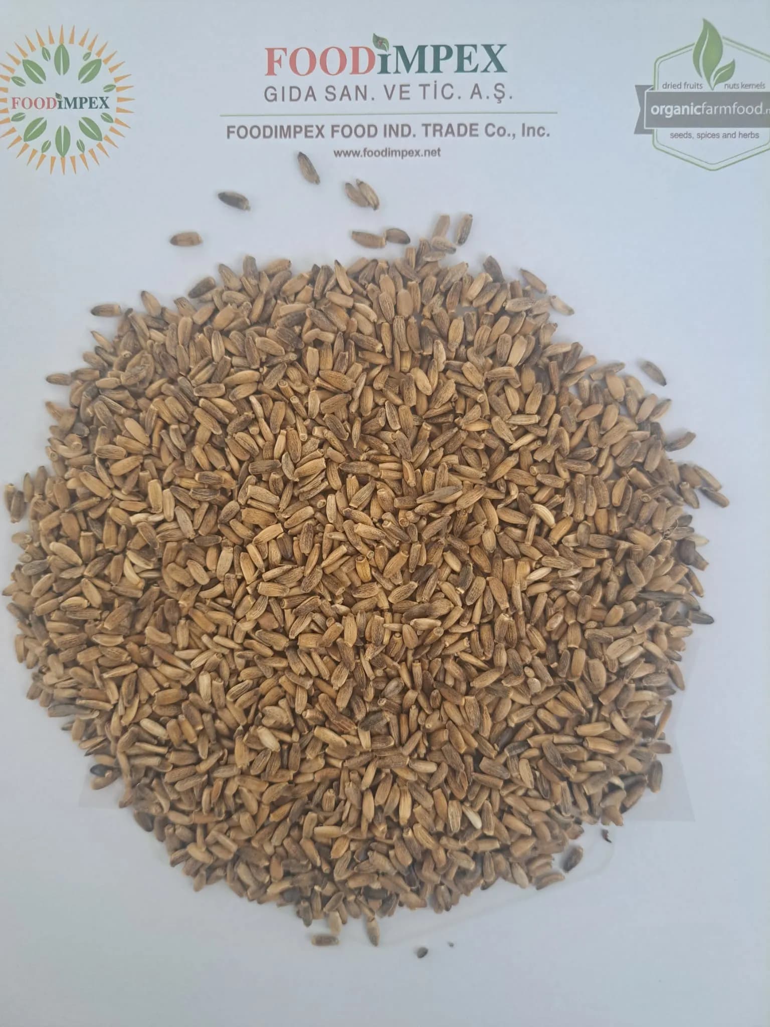 Milk Thistle Seed