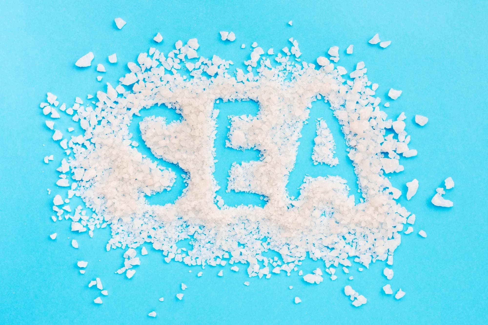 Food Industry Sea SALT