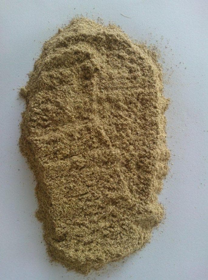 Organic Oregano Powder
