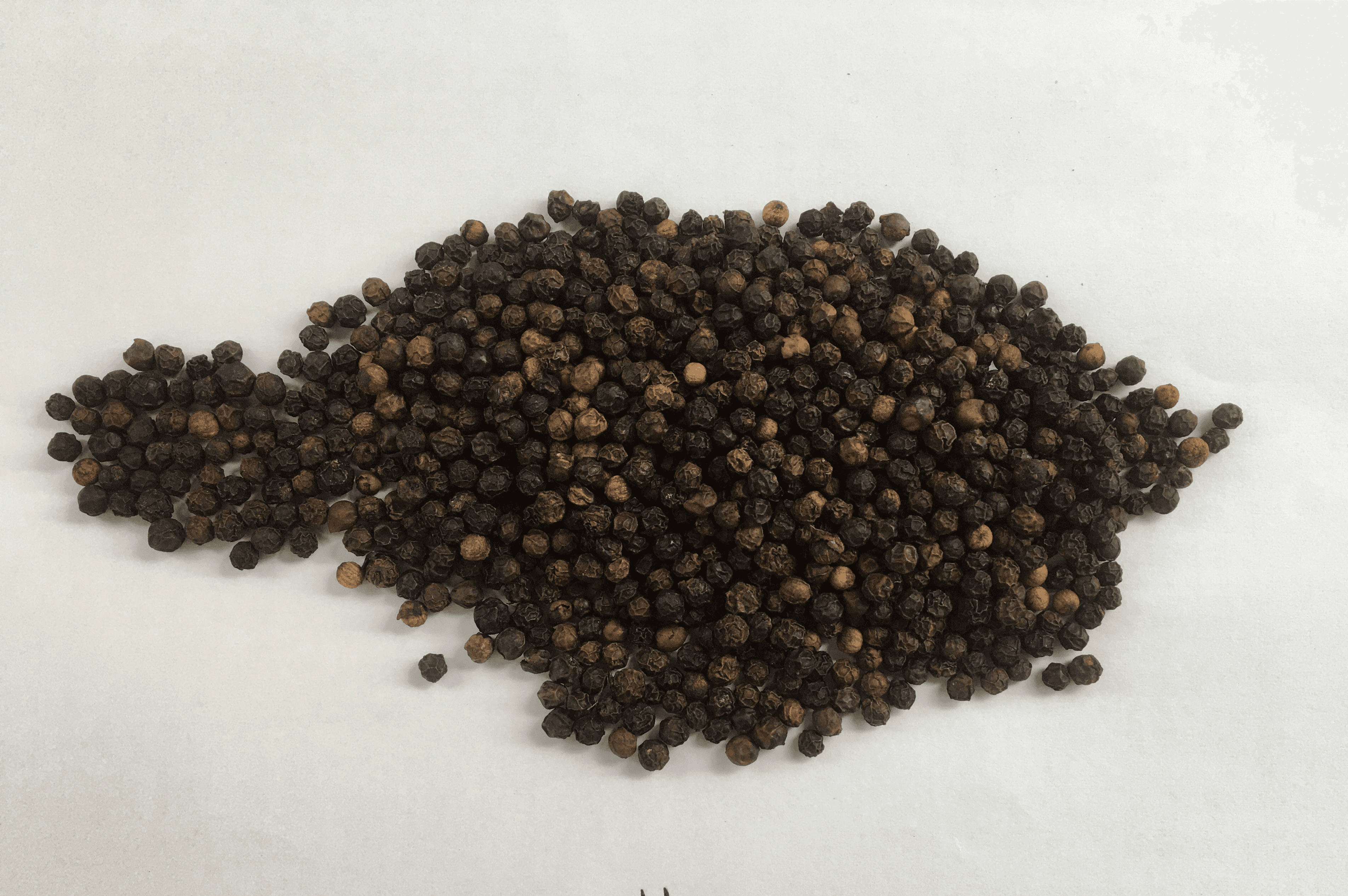 Sri Lanka Whole Black Pepper