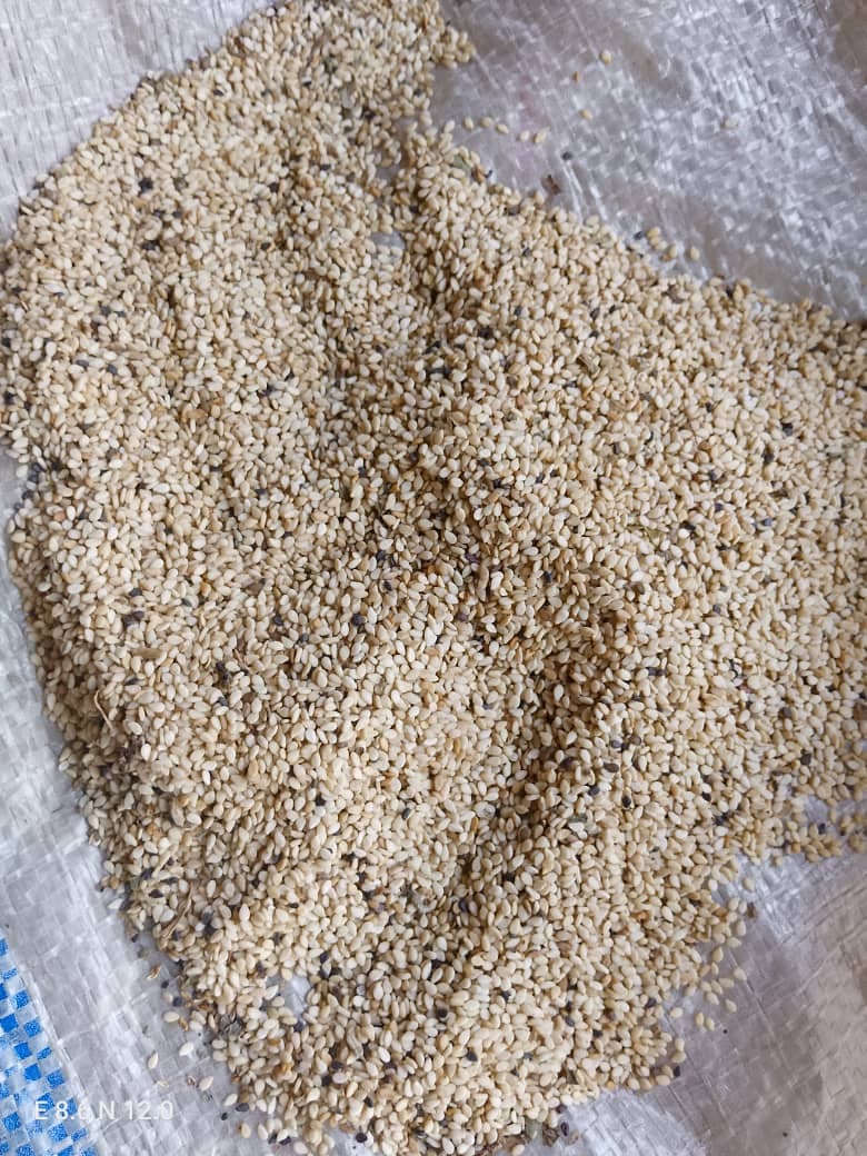 Natural sesame seeds Nigeria