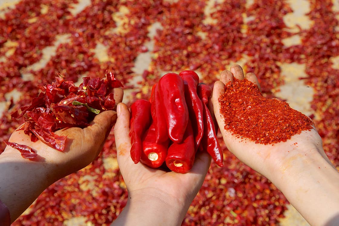 Gaziantep's chili pepper gets its unique flavor from the sun